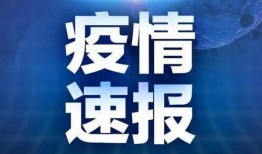 外网最新爆料新闻报道文章,深度解析新闻报道背后的真相