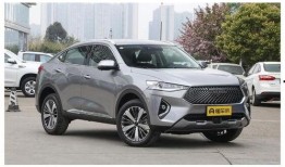 哈佛最新爆料新闻视频大全